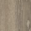 Mflor 46413 Authentic Parva Oak XL Calabria 25-05 - Thumbnail Image 3